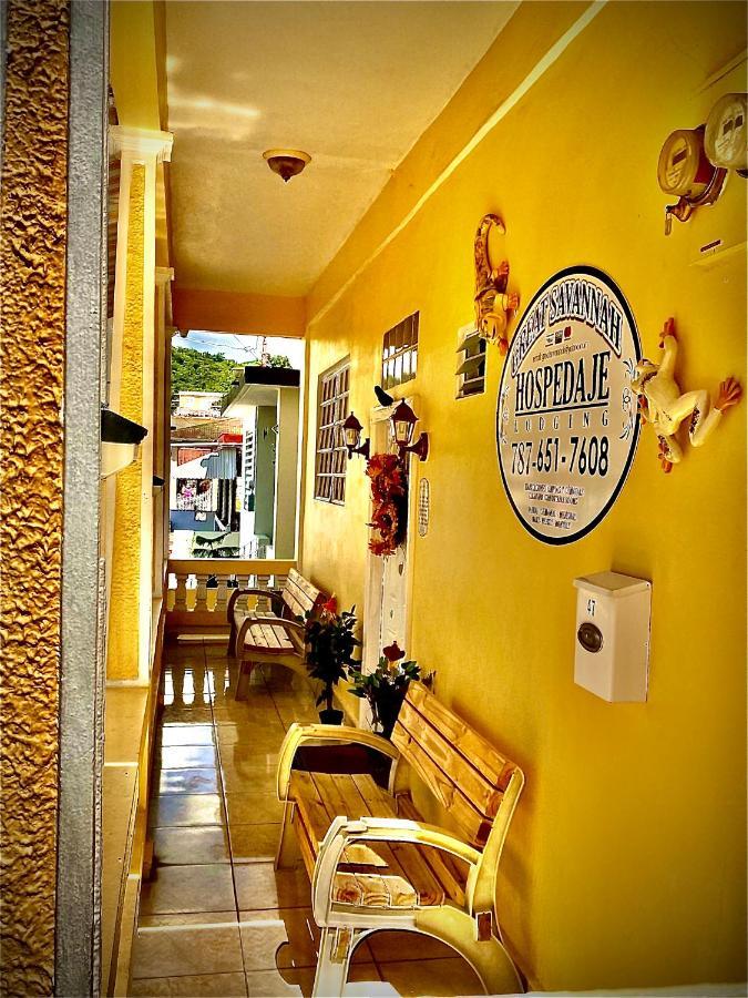 Great Savannah Guesthouse Sabana Grande Екстер'єр фото